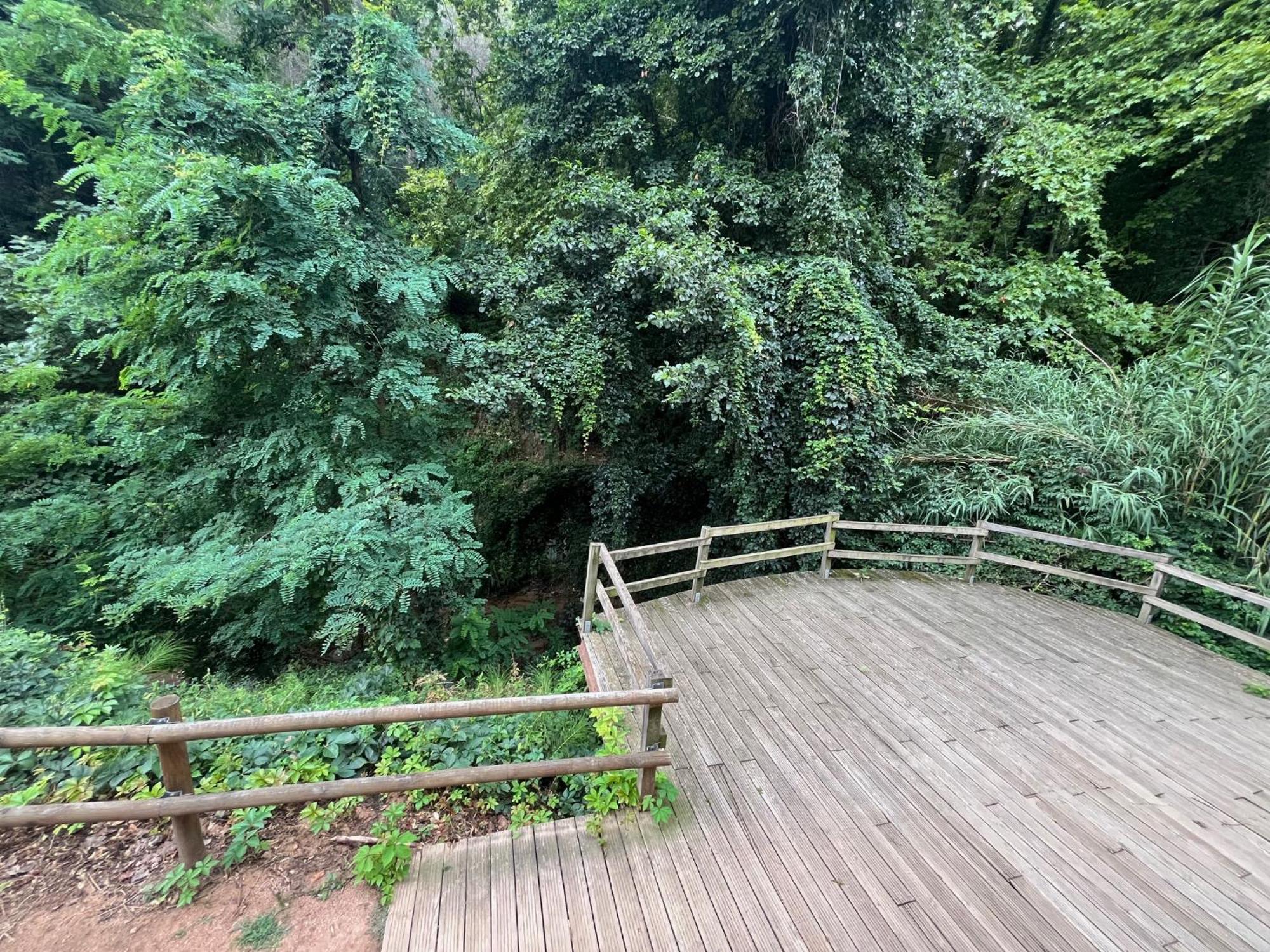 Apartamento El Mirador De La Farga Arbucies Luaran gambar